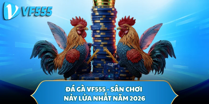 Đá gà VF555 - Sân chơi nảy lửa nhất năm 2026