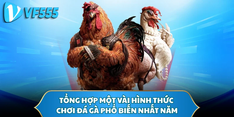 Tổng hợp một vài hình thức chơi đá gà phổ biến nhất năm